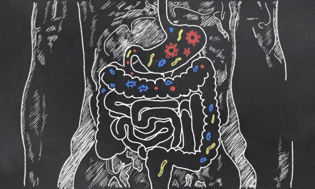 Leaky Gut Syndrome